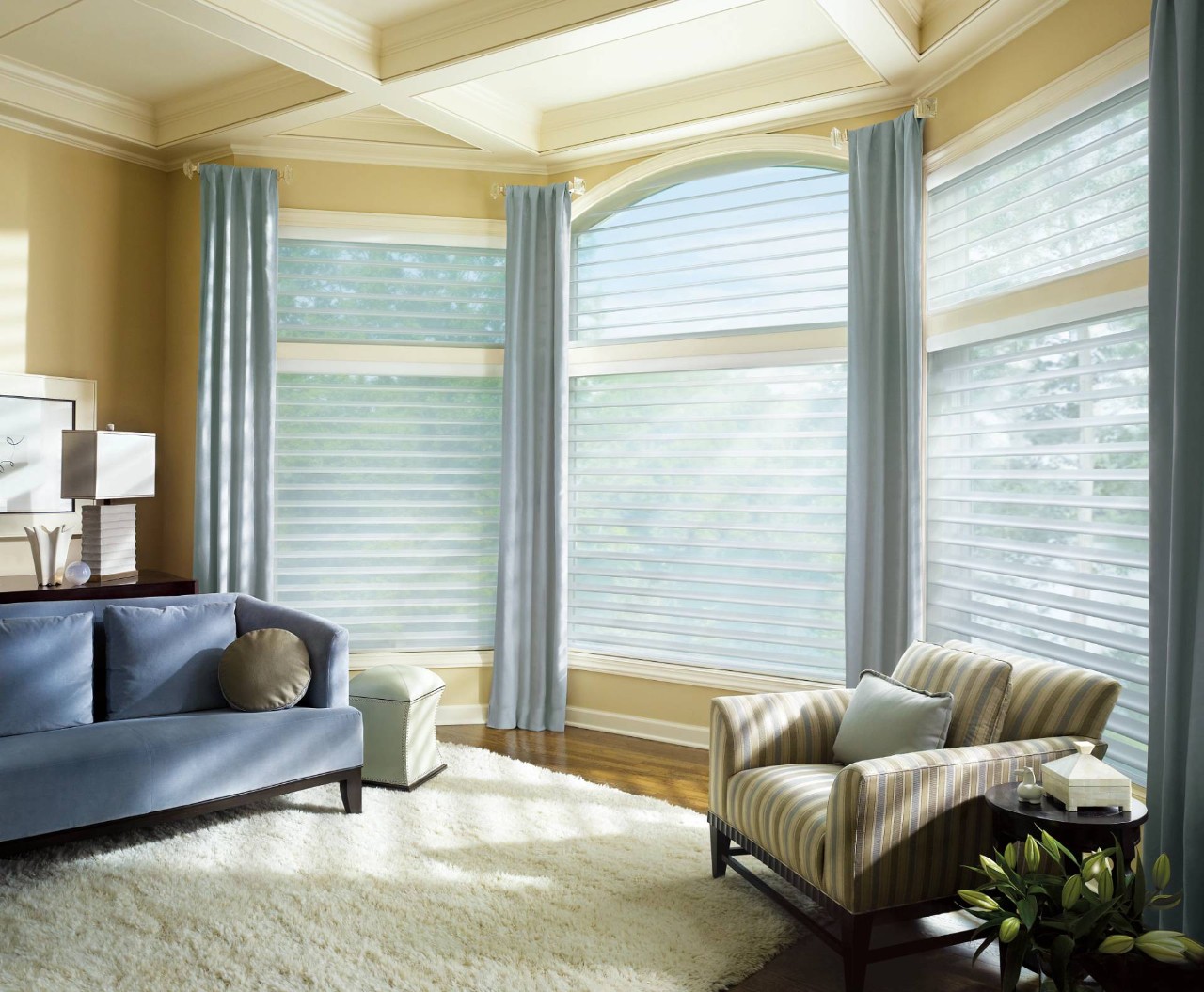 Hunter Douglas Silhouette® Sheer Shades in a bay window near Wenonah, New Jersey (NJ)