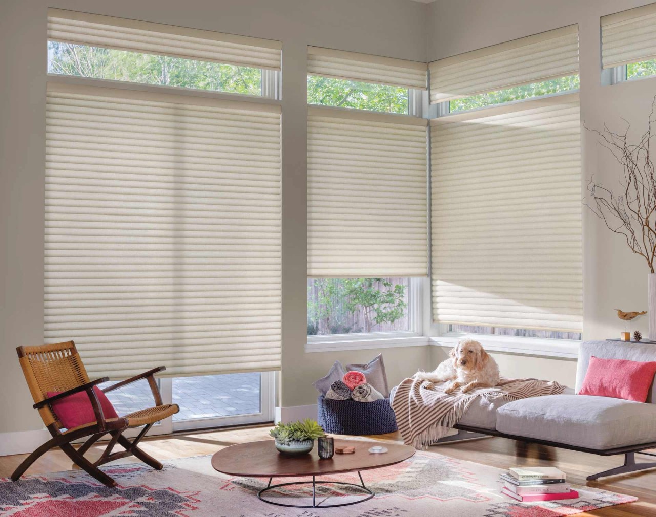 Hunter Douglas Designer Roller Shades solar shades window shades window coverings near Wenonah, New Jersey (NJ)