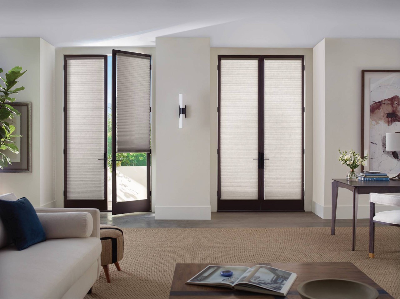 Hunter Douglas cellular shades for French doors near Wenonah, NJ